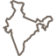 india india